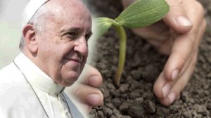 pope-environment